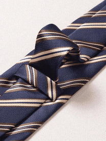 Marini Classic Tie
